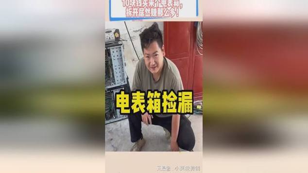 #玩出数码新浪潮#10块钱买来个电表箱,拆开居然赚那么多!
